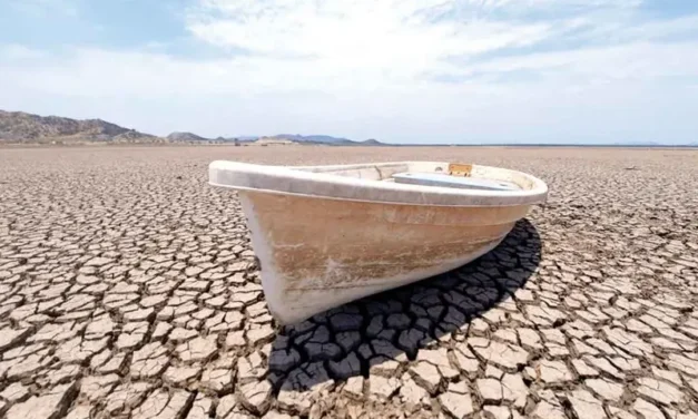 Crece preocupación por la crisis climática