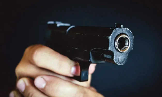 Controlará Defensa permisos de armas; pasa en el pleno de diputados