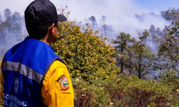 Llaman a prevenir y reportar incendios forestales durante vacaciones de Semana Santa