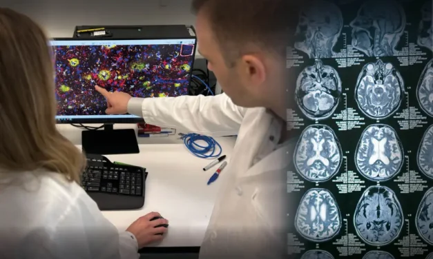 La vacuna para el Alzheimer podría estar en nuestro cerebro