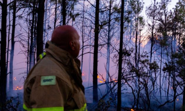 Combaten 262 brigadistas los 13 incendios forestales activos en 9 municipios