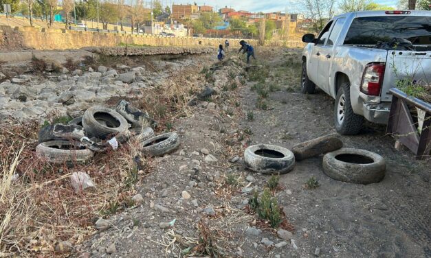 Realiza Servicios Públicos labores de limpieza en la Vialidad del Río