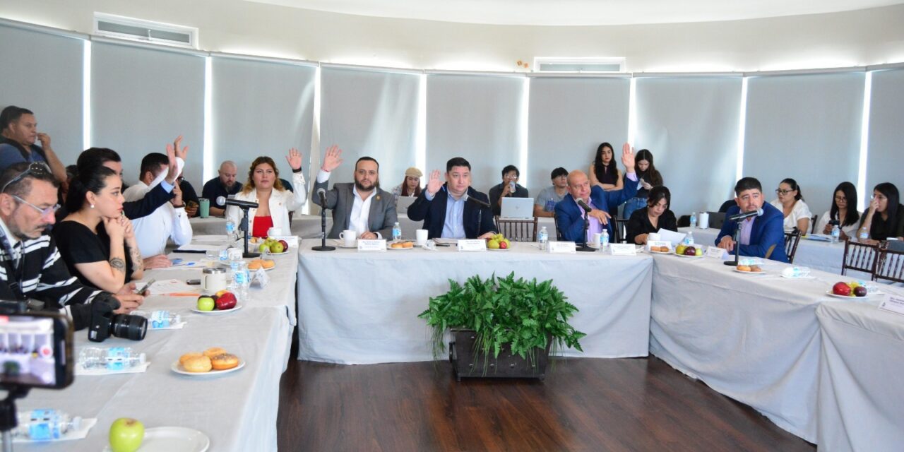 Aprueban acuerdo para realizar Consulta Estrecha y de Colaboración Activa de Personas con Discapacidad 2025