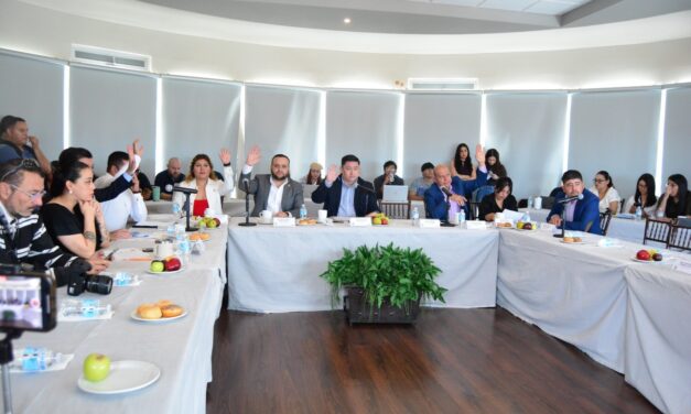 Aprueban acuerdo para realizar Consulta Estrecha y de Colaboración Activa de Personas con Discapacidad 2025
