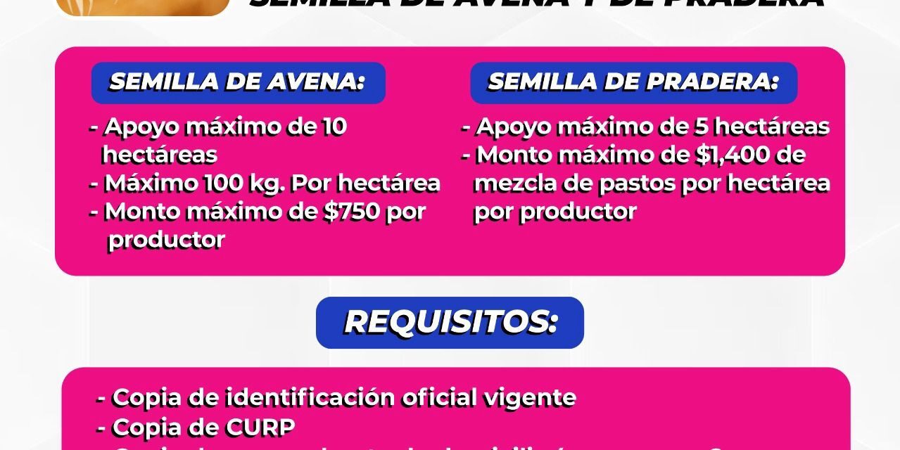 Invitan a participar en convocatoria de semilla de avena y pradera
