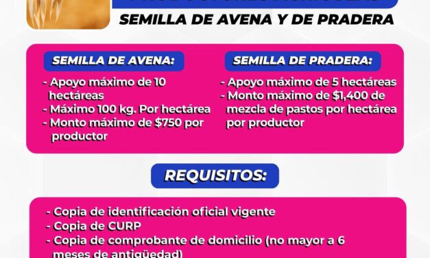 Invitan a participar en convocatoria de semilla de avena y pradera
