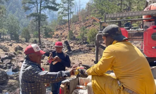 Traslada CEPC apoyos a brigadistas forestales en el municipio de Bocoyna