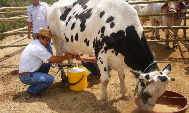 Diputados locales piden a LICONSA cumplir con los pagos atrasados a pequeños productores