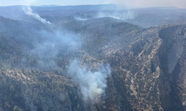 Combaten 435 brigadistas 24 incendios forestales activos en la entidad