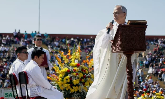 «León seguirá los pasos de Francisco»: Los católicos de la Amazonia esperan que el nuevo Papa proteja la selva tropical