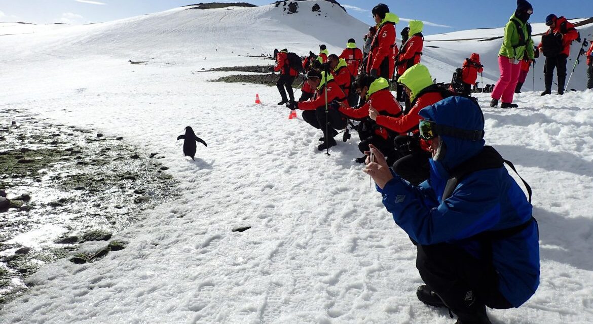 Crece la preocupación por el aumento del turismo en la Antártida