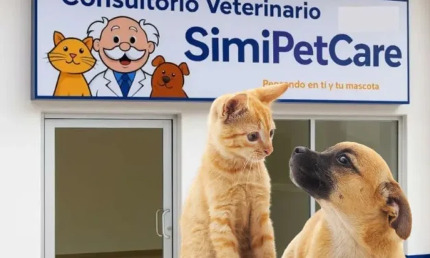 ¿Farmacias Similares tendrá clínicas veterinarias? Esto es lo que sabemos sobre ‘SimiPet Care’