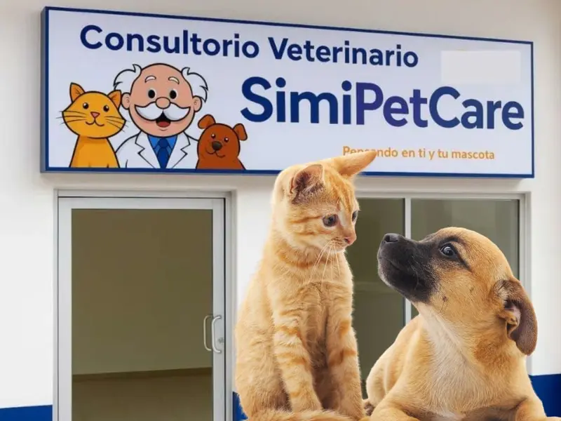 ¿Farmacias Similares tendrá clínicas veterinarias? Esto es lo que sabemos sobre ‘SimiPet Care’