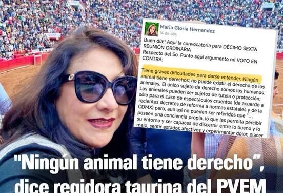 Regidora del Partido Verde asegura que animales no tienen derechos
