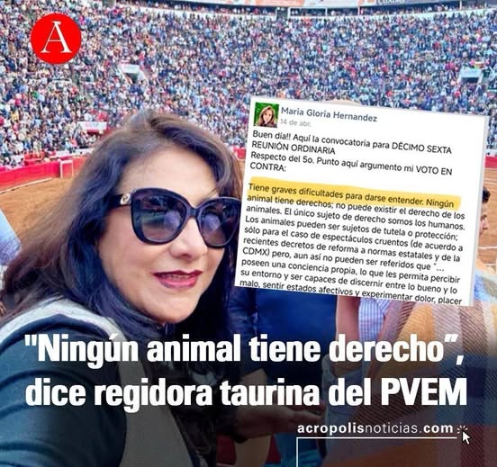 Regidora del Partido Verde asegura que animales no tienen derechos