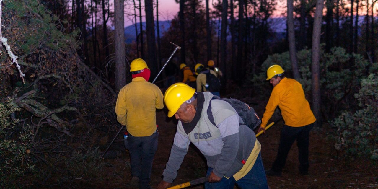 Liquidan 400 incendios forestales durante este año