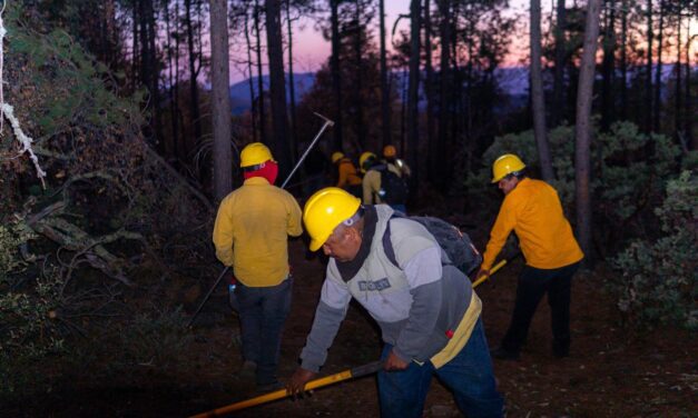 Liquidan 400 incendios forestales durante este año