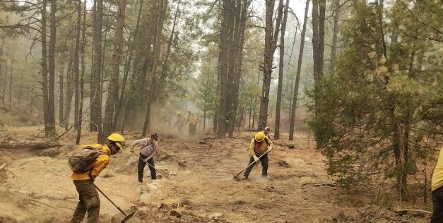 Se integran 30 brigadistas de otros estados al combate de incendios forestales en Chihuahua