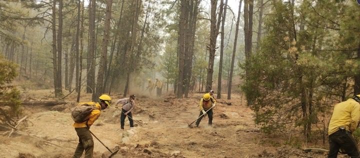 Se integran 30 brigadistas de otros estados al combate de incendios forestales en Chihuahua