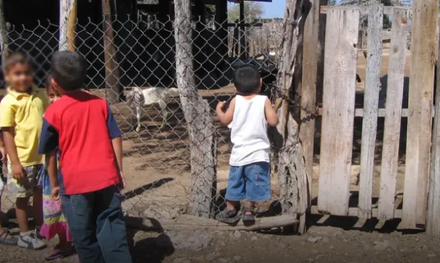 Infancia migrante en México y los retos que tiene que enfrentar