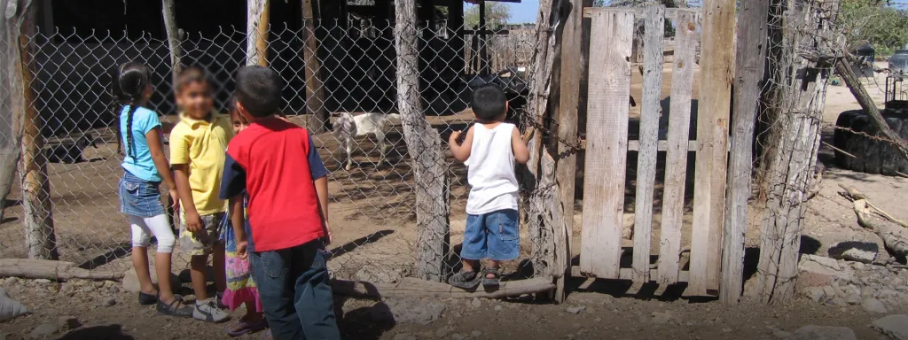 Infancia migrante en México y los retos que tiene que enfrentar