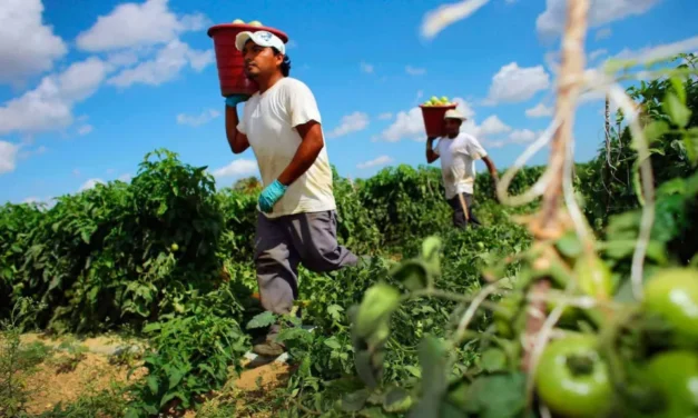 México creció 0.2%; es bueno, dice Sheinbaum