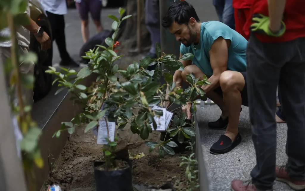 Reforestación urbana contra el calentamiento global