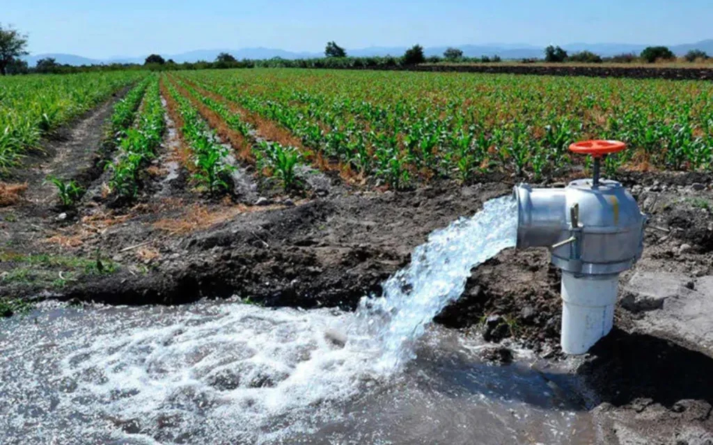 Revisa Conagua concesiones para evitar extracción ilegal