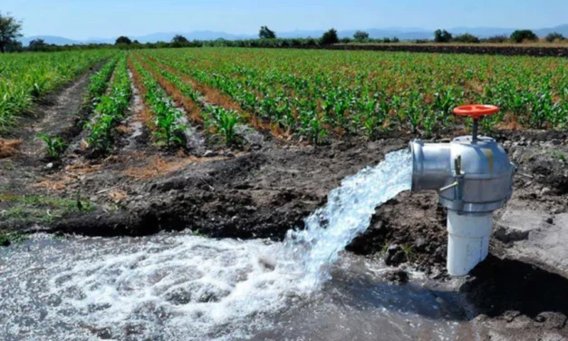 Revisa Conagua concesiones para evitar extracción ilegal