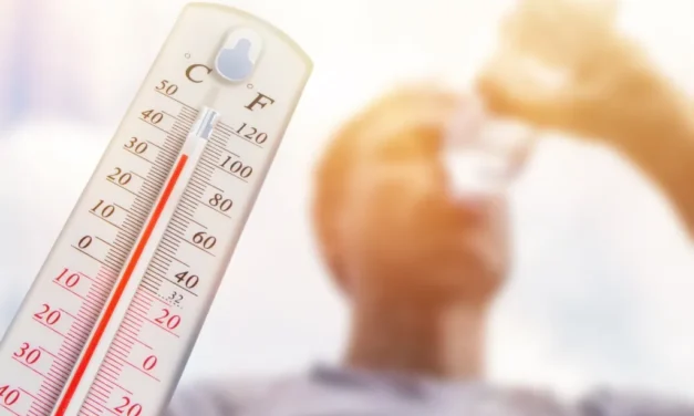 Van 4 muertos por altas temperaturas