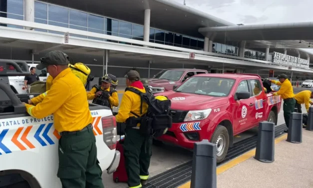 Refuerzan brigadistas del Estado de México acciones contra incendios forestales en el municipio de Madera