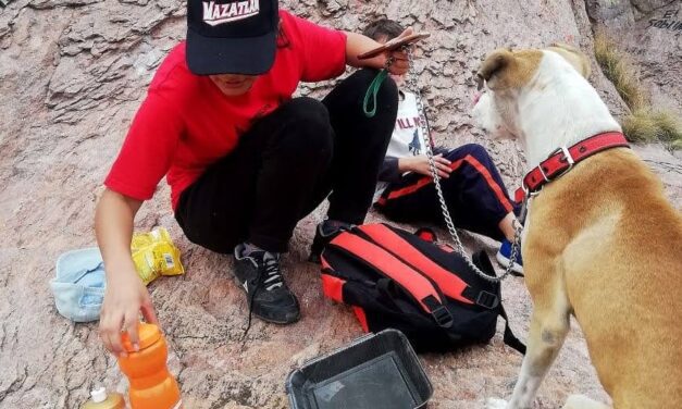 Emiten recomendaciones para proteger a mascotas por altas temperaturas