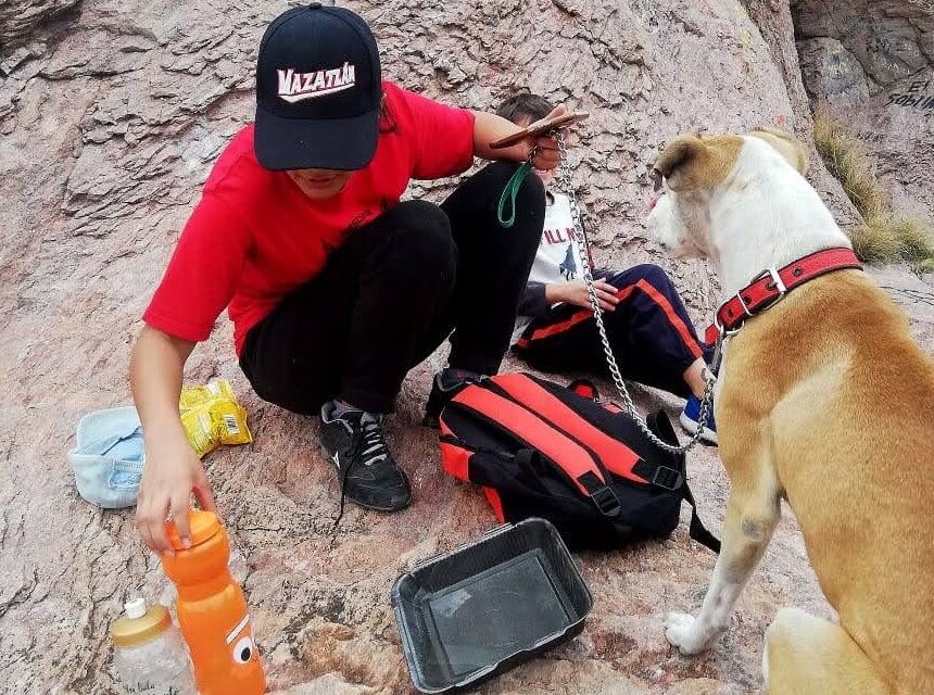 Emiten recomendaciones para proteger a mascotas por altas temperaturas