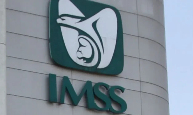 Yerno de la gobernadora de Veracruz, se benefició con contratos del IMSS