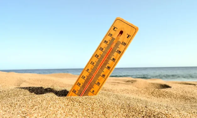 Este día comenzará la canícula en México; ¡prepárate para el calor!