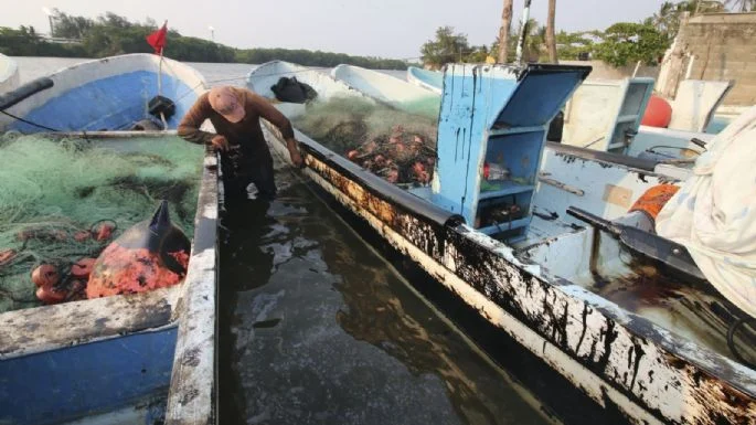 Pescadores afectados sobre derrame de Pemex en Tabasco: “Autoridades se hacen de la vista gorda”