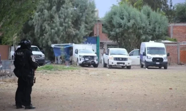 Hallan al menos 15 cuerpos en una fosa clandestina de Irapuato