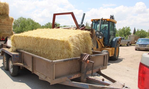 Apoyan con 150 mil pacas de rastrojo a más de 10 mil productores ante efectos de la sequía
