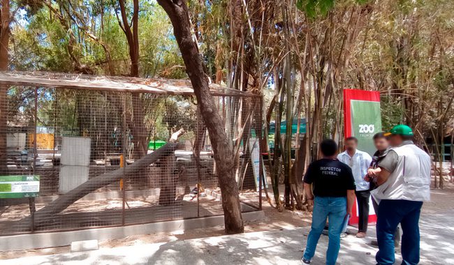 Asegura Profepa 119 ejemplares del Zoológico de Culiacán