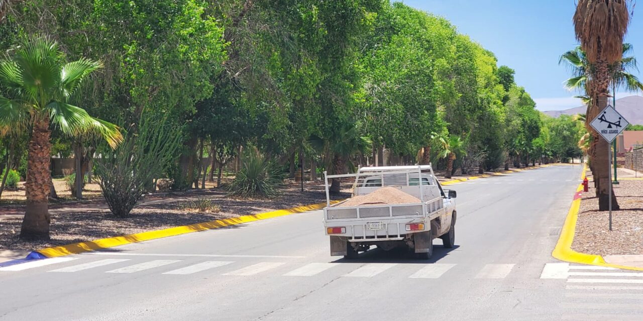 Acusan desinterés de Aldama por arreglar problema en Residencial Leones