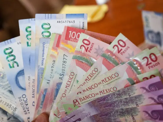 ¿Dónde invertir tu dinero para maximizar las ganancias? Aquí las opciones más rentables