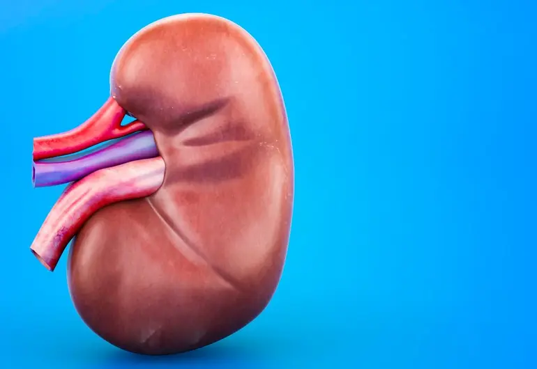 ¿Por qué el cáncer de riñón suele detectarse por accidente?