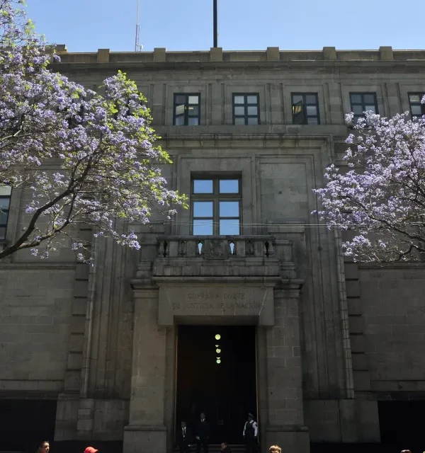 Amparan a mujer trans refugiada contra discriminación del INM