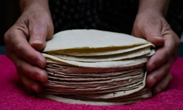 Acuerdan reducir el precio de la tortilla