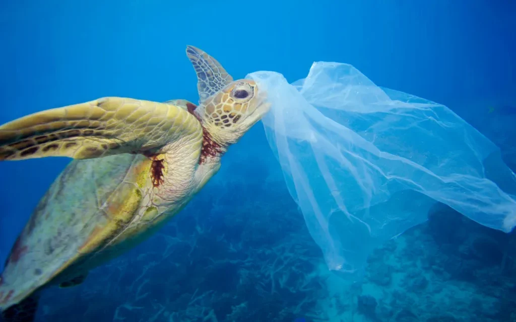 Para 2050 habrá más plástico que peces