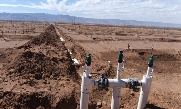 Abre Secretaría de Desarrollo Rural convocatoria para apoyos en infraestructura hídrica