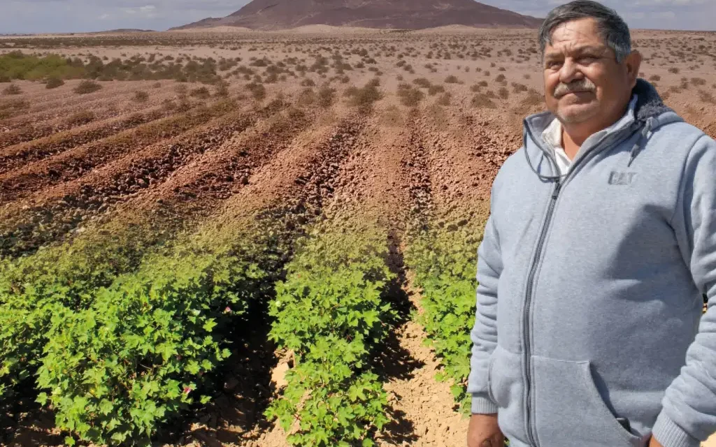 Vencieron al desierto