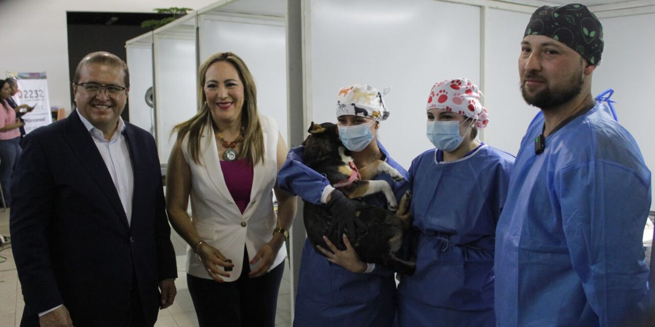 Hoy jornada de esterilización en Parral