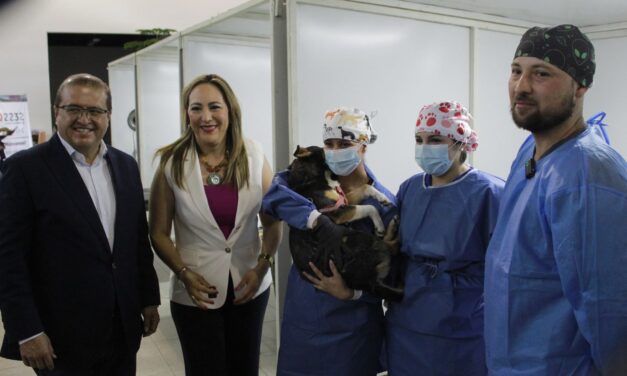Hoy jornada de esterilización en Parral