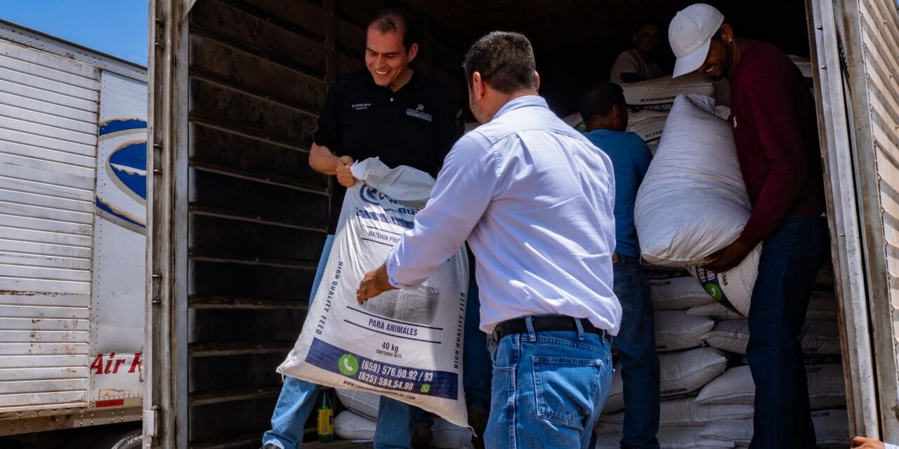Entregan 67 toneladas de Maíz Rolado a productores de Meoqui
